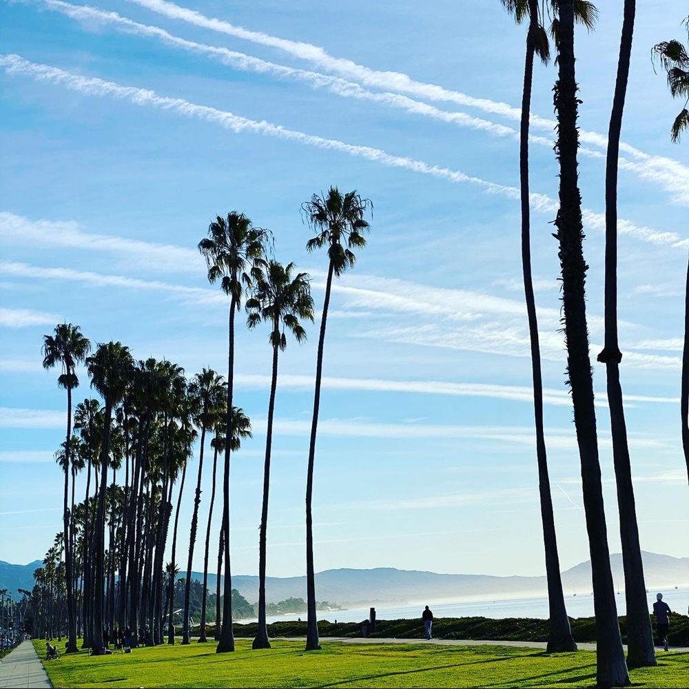 Meet your Posher, Assia